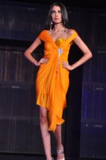at Blenders Pride Fashion Tour 2011 Day 2 on 24th Sept 2011 (118).jpg